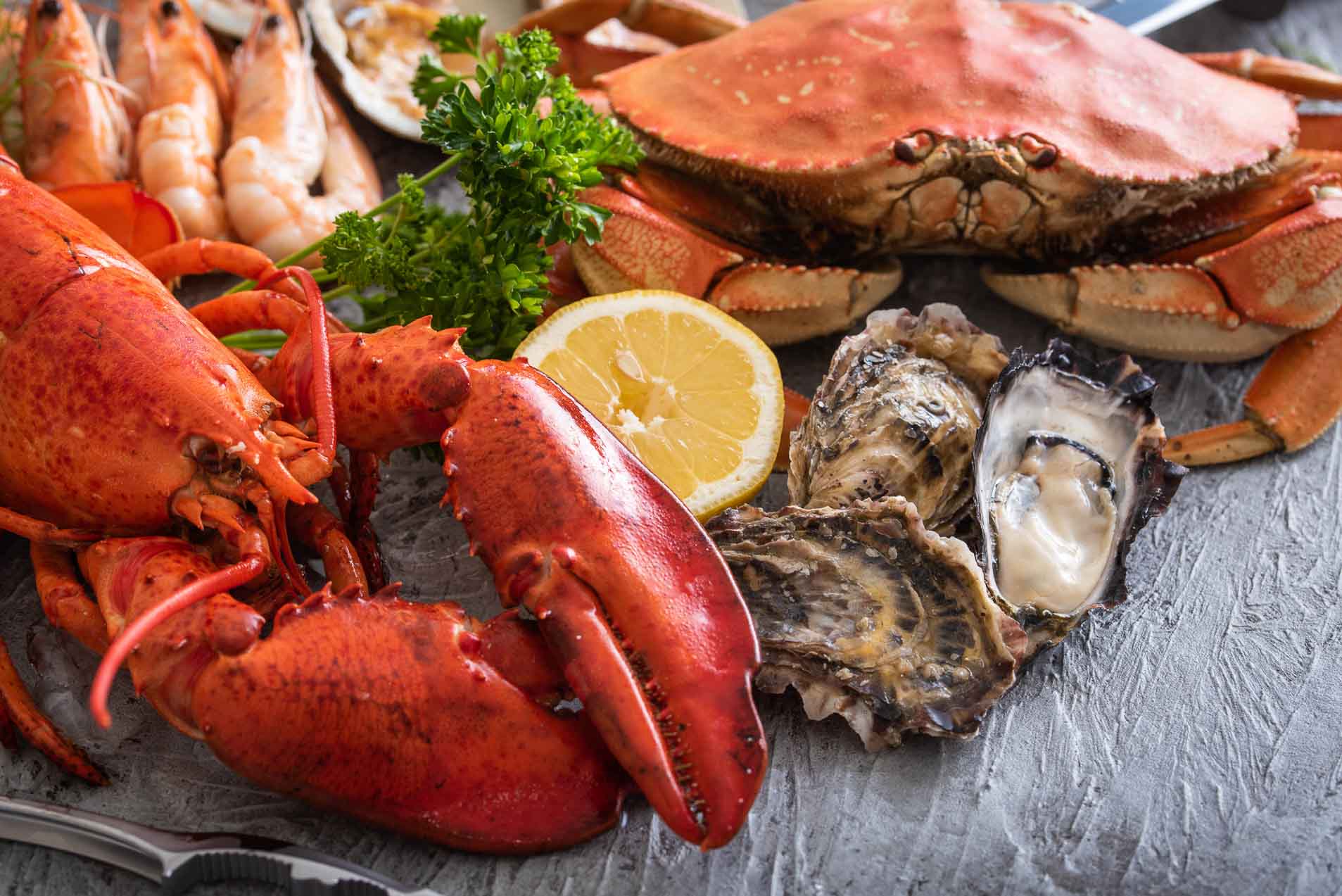Learn All About Seafood Base, Stock and Bouillon